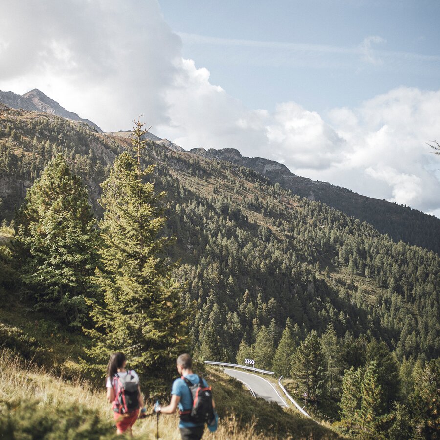 Hiking trail above the pass road, view of the Antholzertal | © Kottersteger Manuel - TV Antholzertal