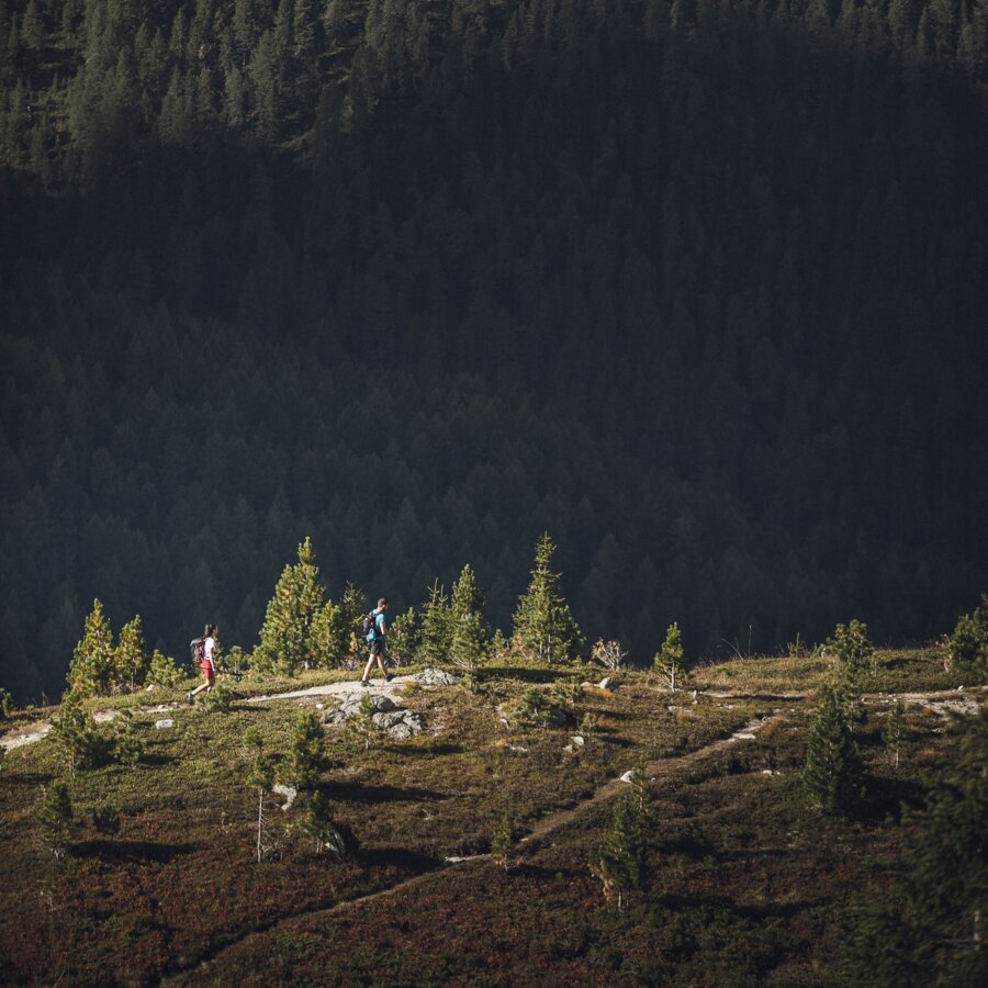 Hike at the Staller Saddle | © Kottersteger Manuel - TV Antholzertal