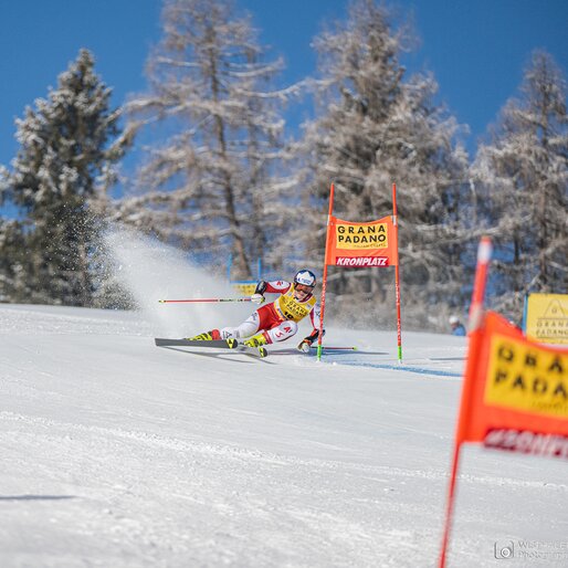Eine Skirennläuferin beim Riesentorlauf, im Hintergrund blauer Himmel und schneebedeckte Bäume. | © Harald Wisthaler