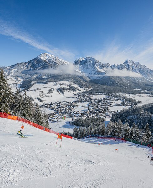 Eine Skirennläuferin beim Riesentorlauf , im Hintergrund die Dolomiten und schneebedeckte Bäume. | © Harald Wisthaler
