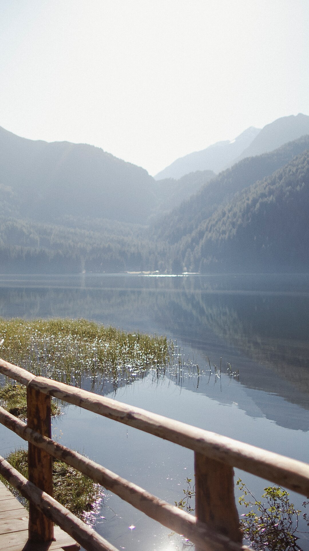 Ein schmaler Steg, der über den Antholzer See im Sommer führt. | © TV Antholzertal
